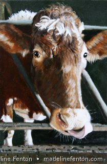 Cows