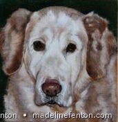 Dog1848