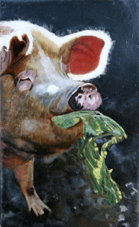 pig